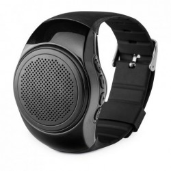 WRIST. Palestrante